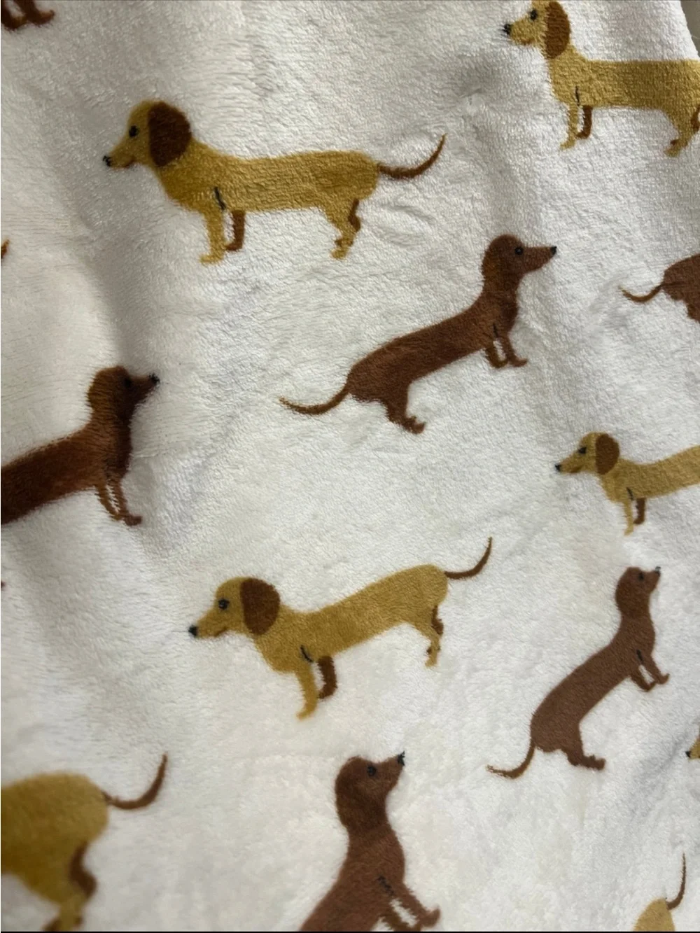 Dachshund Doxie Pet Throw Blanket 40”x50”